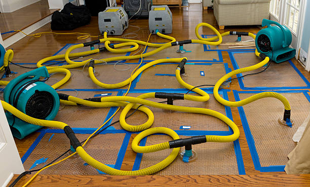 Professional Water Extraction technician working in Wareham, MA